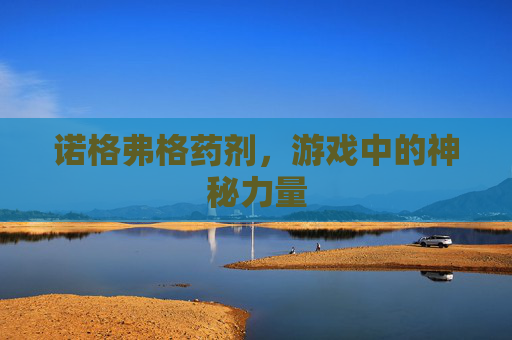 诺格弗格药剂,游戏中的神秘力量 诺格弗格药剂,游戏中的神秘力量