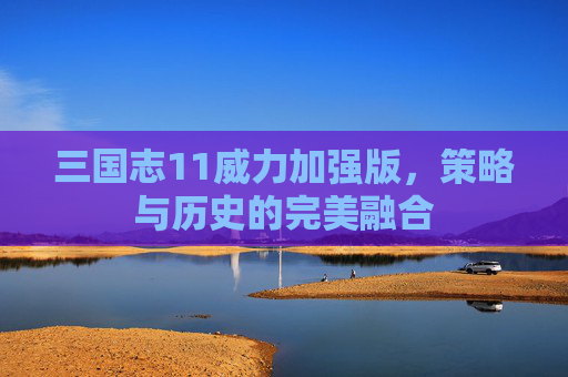 三国志11威力加强版,策略与历史的完美融合 三国志11威力加强版,策略与历史的完美融合