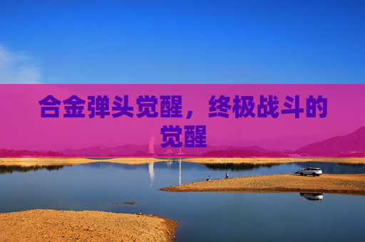 合金弹头觉醒,终极战斗的觉醒 合金弹头觉醒,终极战斗的觉醒