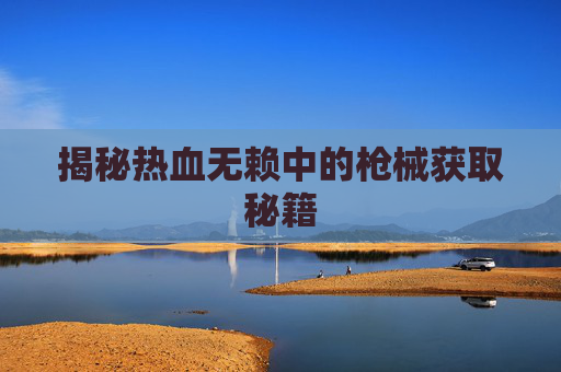 揭秘热血无赖中的枪械获取秘籍 揭秘热血无赖中的枪械获取秘籍