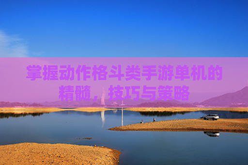 掌握动作格斗类手游单机的精髓,技巧与策略 掌握动作格斗类手游单机的精髓,技巧与策略