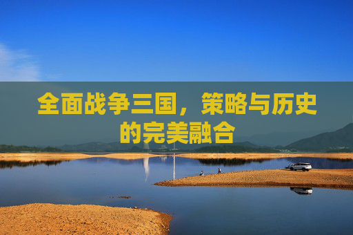 全面战争三国,策略与历史的完美融合 全面战争三国,策略与历史的完美融合