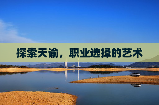 探索天谕,职业选择的艺术 探索天谕,职业选择的艺术