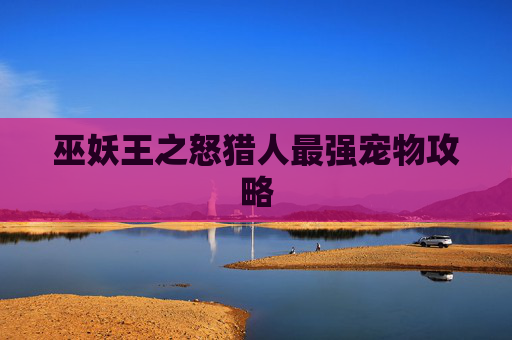 巫妖王之怒猎人最强宠物攻略 巫妖王之怒猎人最强宠物攻略