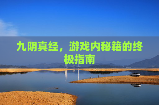九阴真经,游戏内秘籍的终极指南 九阴真经,游戏内秘籍的终极指南