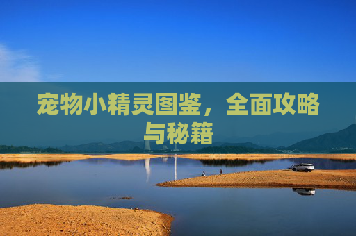 宠物小精灵图鉴,全面攻略与秘籍 宠物小精灵图鉴,全面攻略与秘籍