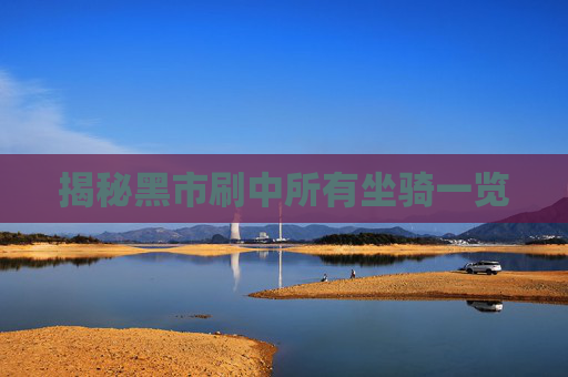 揭秘黑市刷中所有坐骑一览 揭秘黑市刷中所有坐骑一览