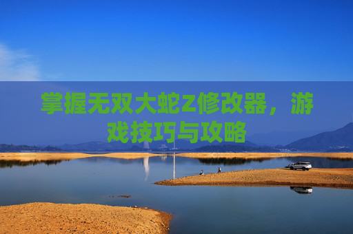 掌握无双大蛇Z修改器,游戏技巧与攻略 掌握无双大蛇Z修改器,游戏技巧与攻略