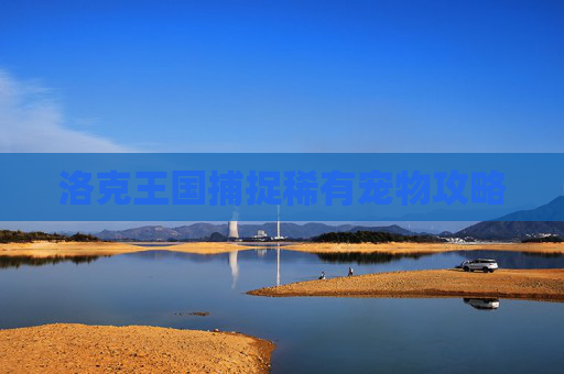 洛克王国捕捉稀有宠物攻略 洛克王国捕捉稀有宠物攻略