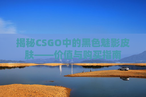 揭秘CSGO中的黑色魅影皮肤——价值与购买指南 揭秘CSGO中的黑色魅影皮肤——价值与购买指南