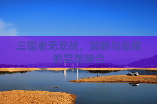 三国志无双战,策略与荣耀的完美结合 三国志无双战,策略与荣耀的完美结合