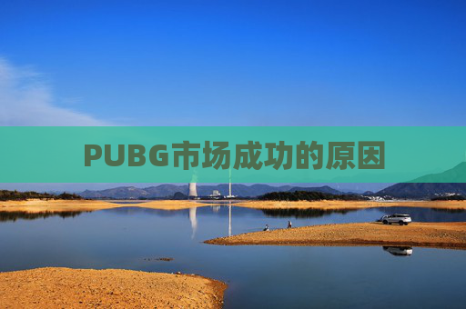 PUBG市场成功的原因 PUBG市场成功的原因