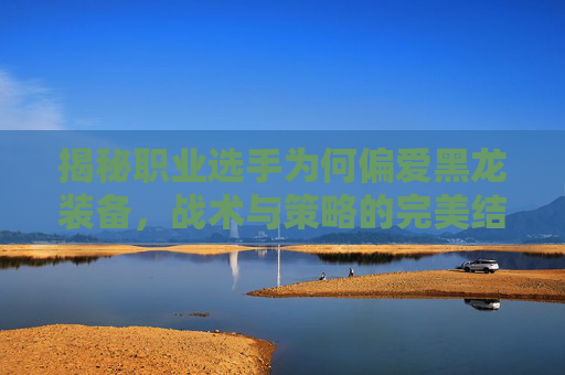 揭秘职业选手为何偏爱黑龙装备,战术与策略的完美结合 揭秘职业选手为何偏爱黑龙装备,战术与策略的完美结合