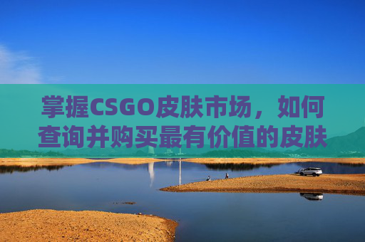 掌握CSGO皮肤市场,如何查询并购买最有价值的皮肤 掌握CSGO皮肤市场,如何查询并购买最有价值的皮肤