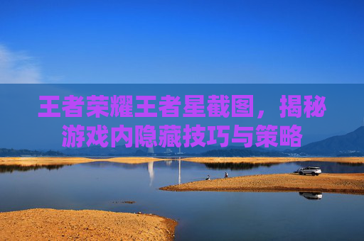 王者荣耀王者星截图,揭秘游戏内隐藏技巧与策略 王者荣耀王者星截图,揭秘游戏内隐藏技巧与策略