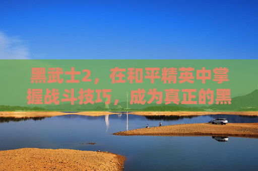 黑武士2,在和平精英中掌握战斗技巧,成为真正的黑武士 黑武士2,在和平精英中掌握战斗技巧,成为真正的黑武士