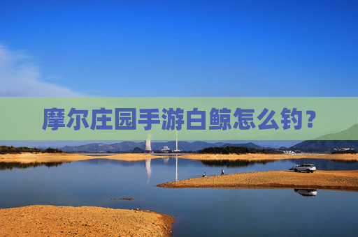 摩尔庄园手游白鲸怎么钓? 摩尔庄园手游白鲸怎么钓?