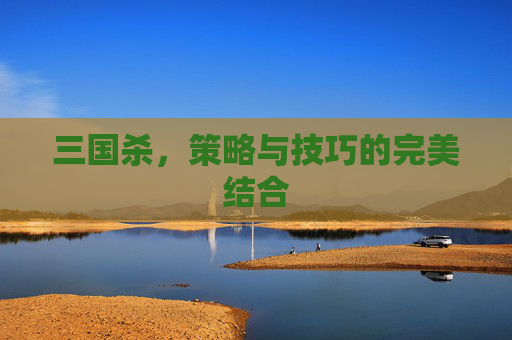 三国杀,策略与技巧的完美结合 三国杀,策略与技巧的完美结合