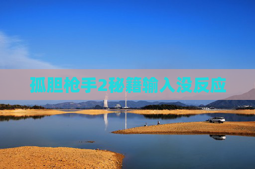 孤胆枪手2秘籍输入没反应 孤胆枪手2秘籍输入没反应