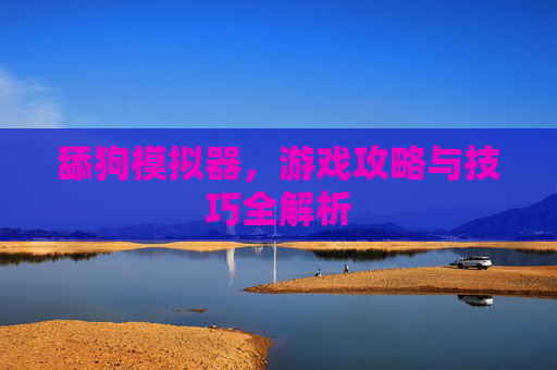 舔狗模拟器,游戏攻略与技巧全解析 舔狗模拟器,游戏攻略与技巧全解析