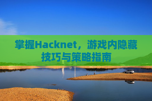 掌握Hacknet,游戏内隐藏技巧与策略指南 掌握Hacknet,游戏内隐藏技巧与策略指南