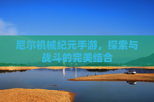 尼尔机械纪元手游,探索与战斗的完美结合 尼尔机械纪元手游,探索与战斗的完美结合