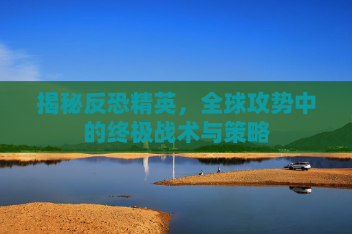 揭秘反恐精英,全球攻势中的终极战术与策略 揭秘反恐精英,全球攻势中的终极战术与策略