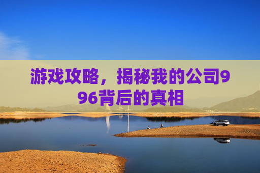 游戏攻略,揭秘我的公司996背后的真相 游戏攻略,揭秘我的公司996背后的真相