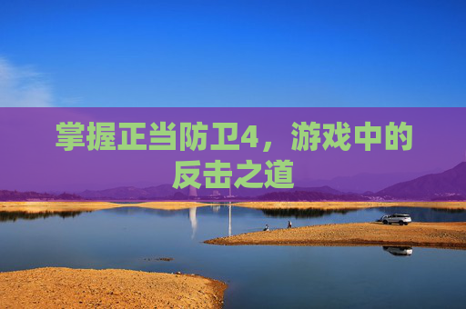 掌握正当防卫4,游戏中的反击之道 掌握正当防卫4,游戏中的反击之道