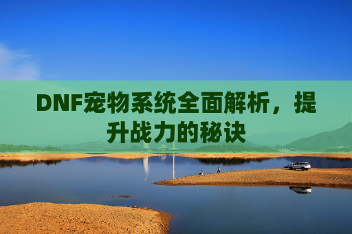 DNF宠物系统全面解析,提升战力的秘诀 DNF宠物系统全面解析,提升战力的秘诀