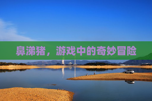 鼻涕猪,游戏中的奇妙冒险 鼻涕猪,游戏中的奇妙冒险