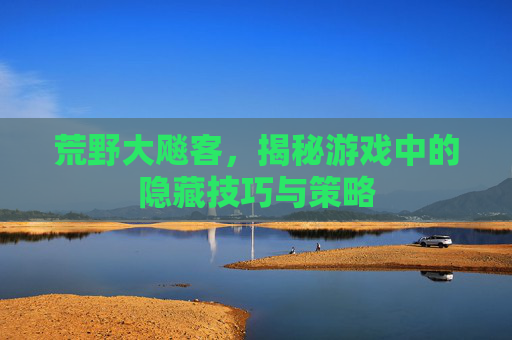 荒野大飚客,揭秘游戏中的隐藏技巧与策略 荒野大飚客,揭秘游戏中的隐藏技巧与策略