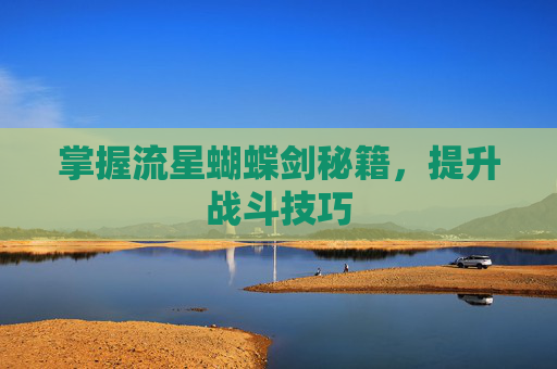掌握流星蝴蝶剑秘籍,提升战斗技巧 掌握流星蝴蝶剑秘籍,提升战斗技巧