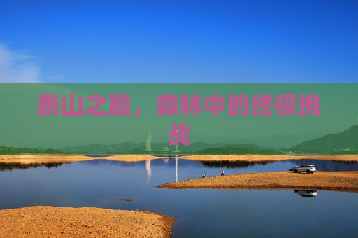 泰山之巅,森林中的终极挑战 泰山之巅,森林中的终极挑战