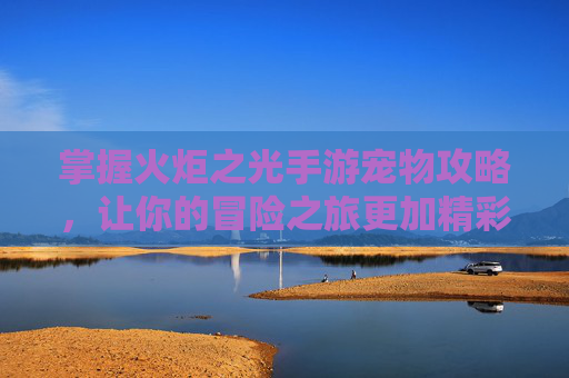 掌握火炬之光手游宠物攻略,让你的冒险之旅更加精彩! 掌握火炬之光手游宠物攻略,让你的冒险之旅更加精彩!