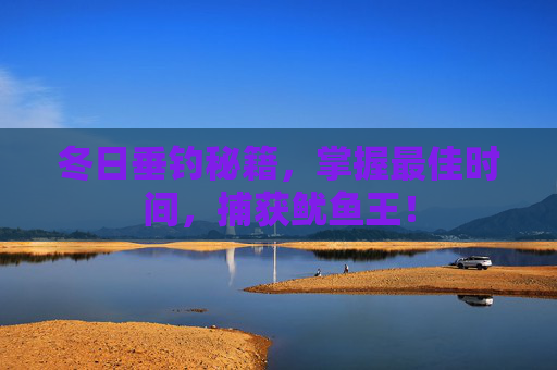 冬日垂钓秘籍，掌握最佳时间，捕获鱿鱼王！