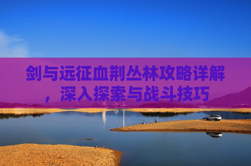 剑与远征血荆丛林攻略详解，深入探索与战斗技巧