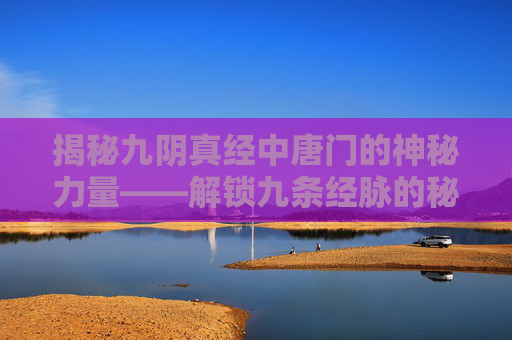 揭秘九阴真经中唐门的神秘力量——解锁九条经脉的秘密