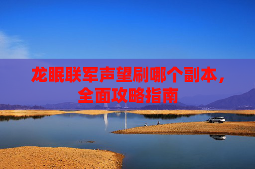 龙眠联军声望刷哪个副本，全面攻略指南