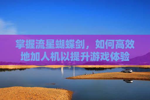 掌握流星蝴蝶剑，如何高效地加人机以提升游戏体验
