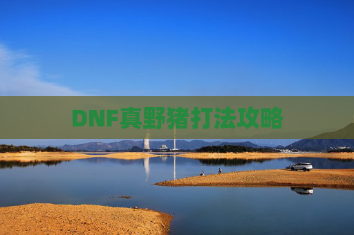 DNF真野猪打法攻略
