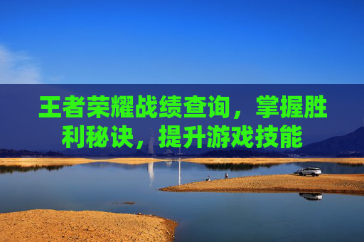 王者荣耀战绩查询,掌握胜利秘诀,提升游戏技能 王者荣耀战绩查询,掌握胜利秘诀,提升游戏技能