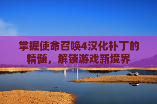 掌握使命召唤4汉化补丁的精髓，解锁游戏新境界