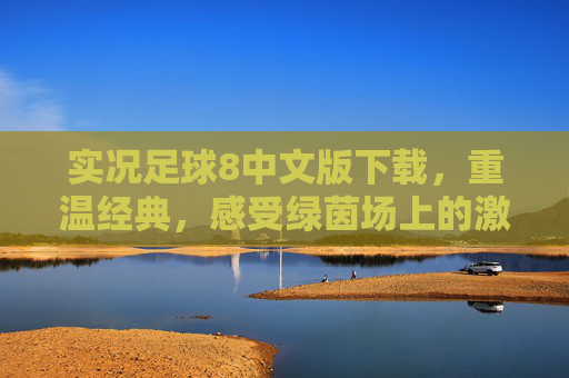 实况足球8中文版下载，重温经典，感受绿茵场上的激情与策略