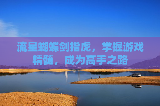 流星蝴蝶剑指虎,掌握游戏精髓,成为高手之路 流星蝴蝶剑指虎,掌握游戏精髓,成为高手之路