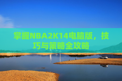 掌握NBA2K14电脑版,技巧与策略全攻略 掌握NBA2K14电脑版,技巧与策略全攻略