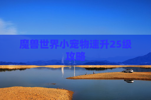 魔兽世界小宠物速升25级攻略 魔兽世界小宠物速升25级攻略