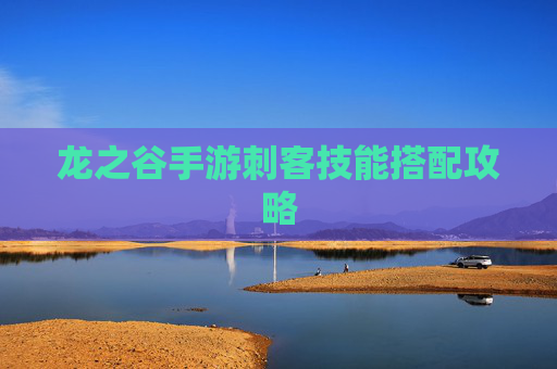 龙之谷手游刺客技能搭配攻略 龙之谷手游刺客技能搭配攻略