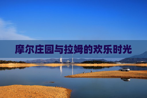 摩尔庄园与拉姆的欢乐时光 摩尔庄园与拉姆的欢乐时光