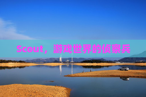Scout,游戏世界的侦察兵 Scout,游戏世界的侦察兵